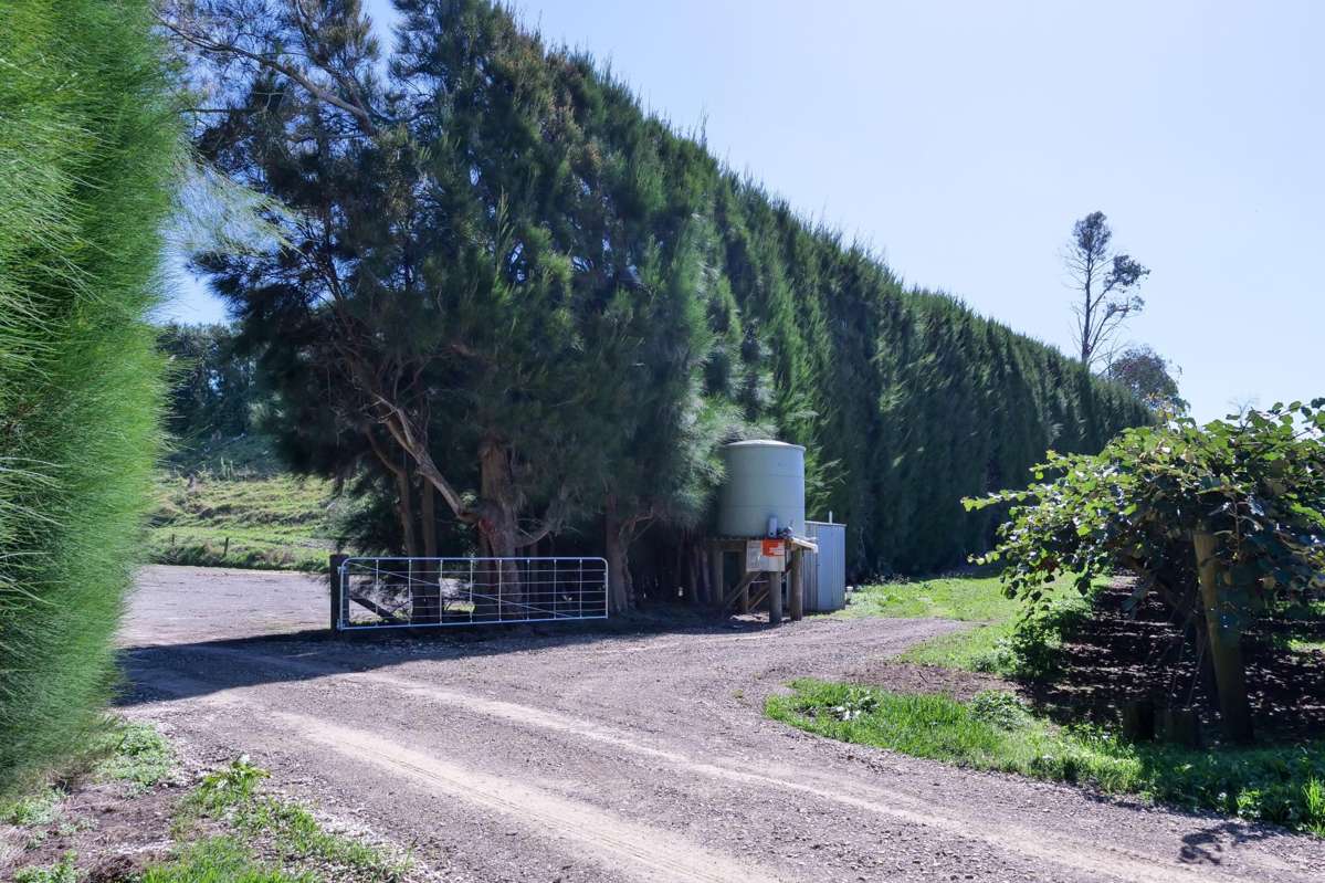 206 Casuarina Drive_4