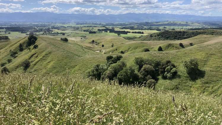 Millars Road Carterton_1