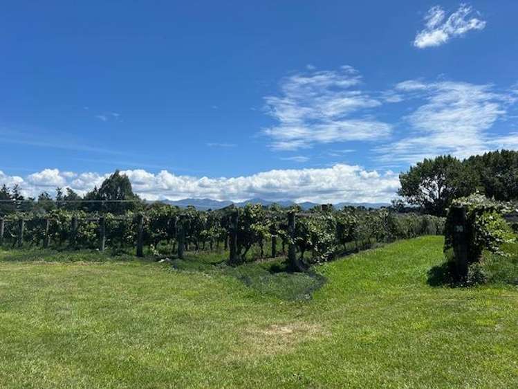 7 Wingate Road 10754_9