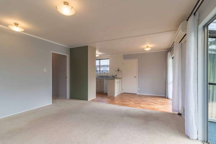 4b Mary Street Frankton_9