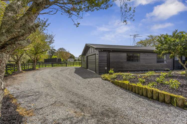 43 Forrest Road Cambridge_19