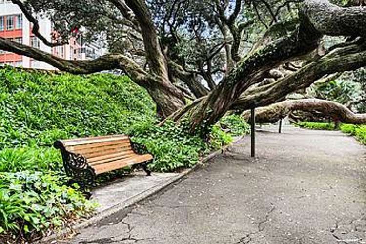 16/66 Emily Place Auckland Central_12