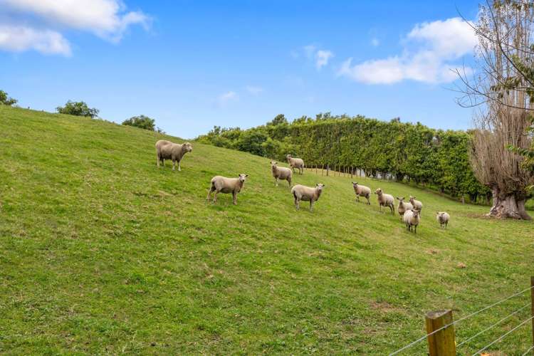 178b Maniatutu Road Pongakawa_24