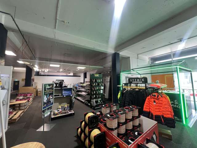 274 Taranaki Street Mt Cook_4