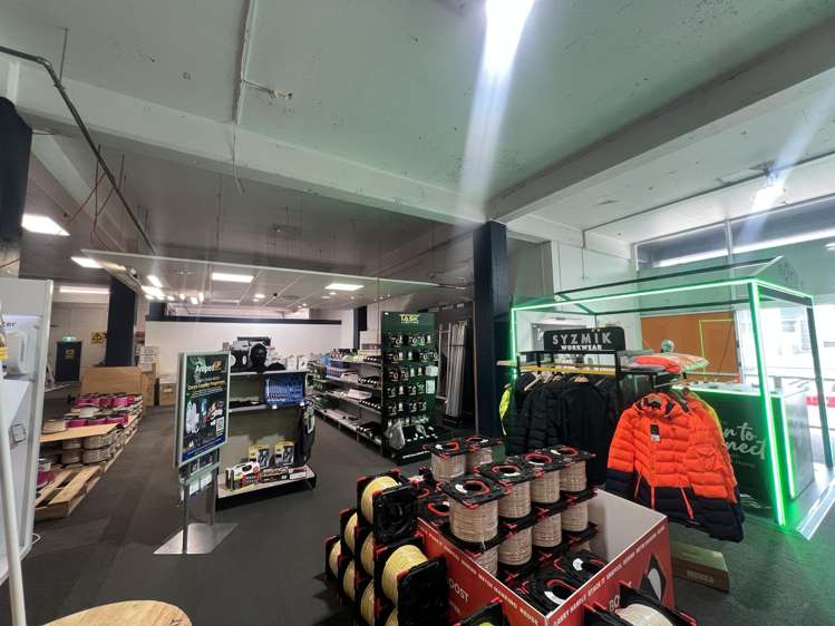 274 Taranaki Street Mt Cook_4