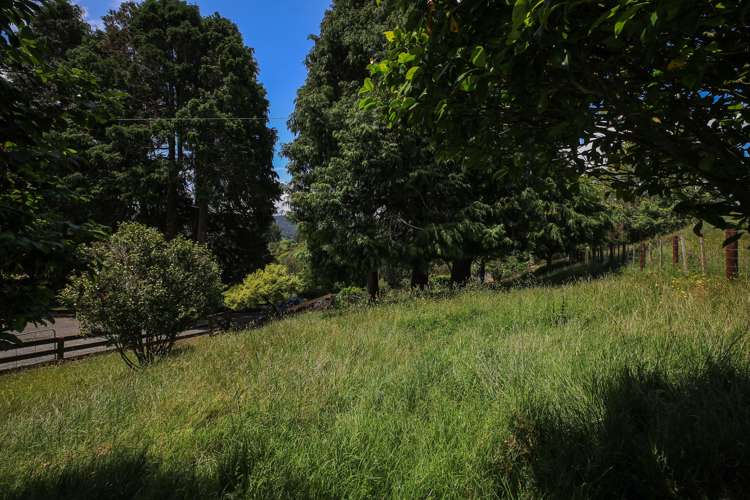 1/721 Limeworks Loop Road Karamu_21