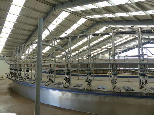 277 Mill Road Waimate_2