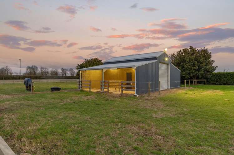 88 Hopkins Road Matamata_16