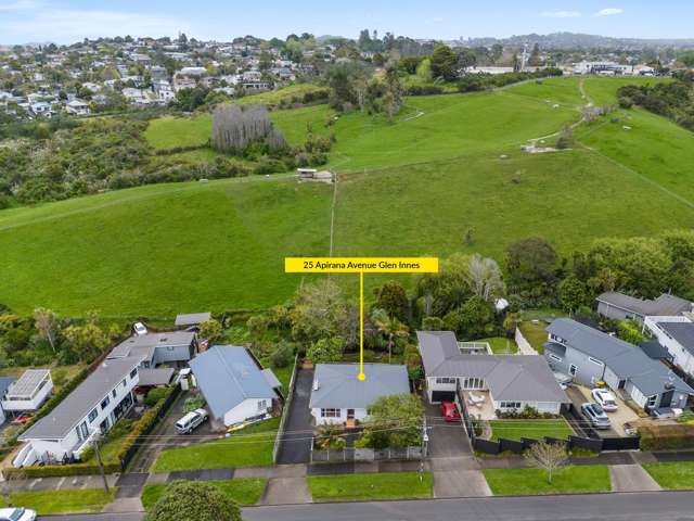 25 Apirana Avenue Glen Innes_1