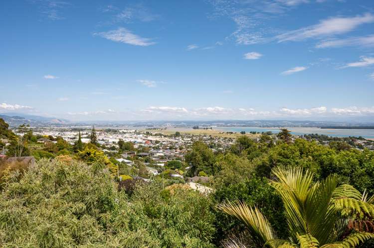 102 Tosswill Road Tahunanui_25