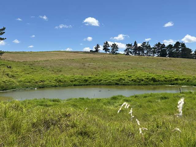 4 Matahehe Lane Tinopai_4