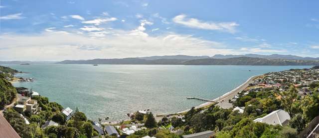 Vendors Kapiti Coast Bound