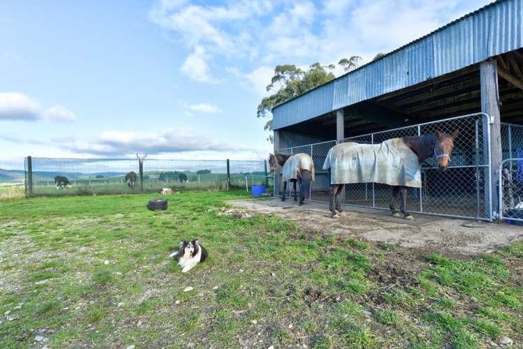 791 Wyndham Letterbox Road Wyndham Surrounds_16