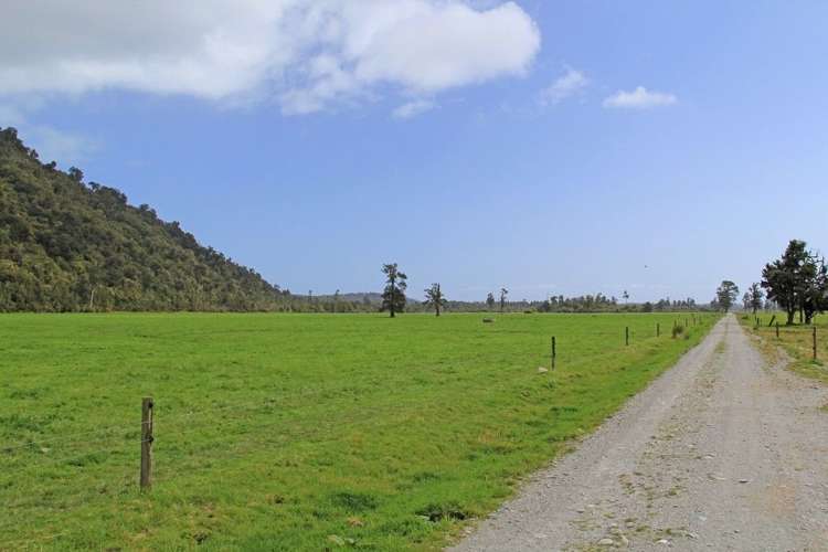 Waiho Flat Road Franz Josef Glacier_10