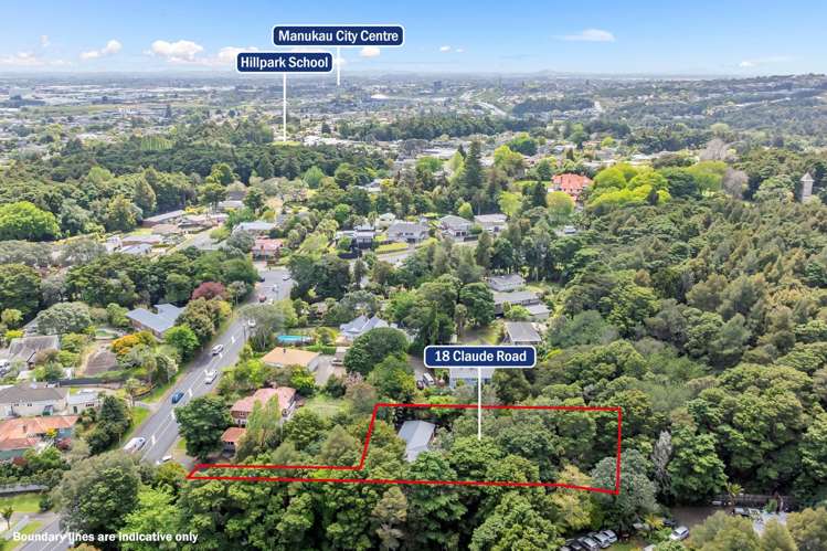 18 Claude Road Hill Park_33
