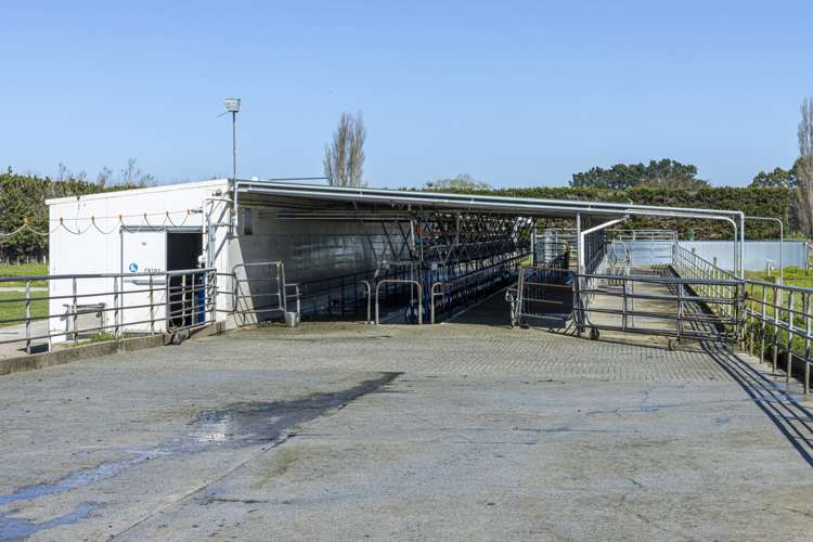 94 Brogdens Road Lowcliffe_12