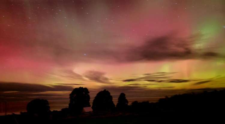 212 McMaster Road Saddle Hill_33