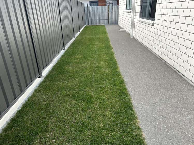 71 Auckland Road Greenmeadows_14