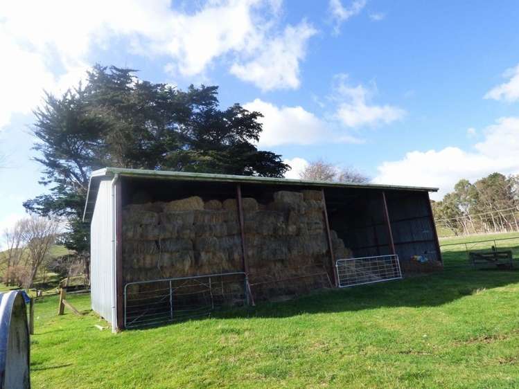 210 Valley Road Bunnythorpe_16