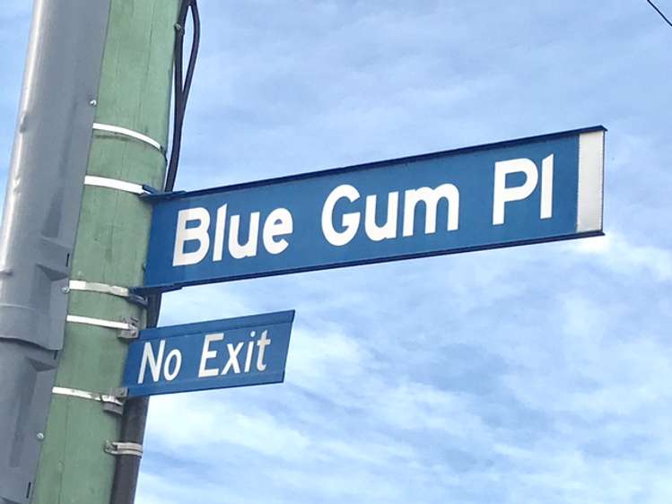 12 Blue Gum Place New Brighton_10