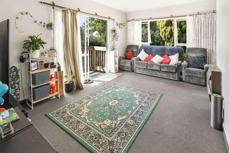 23 Hinau Street Maeroa_4