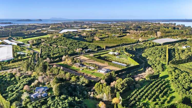 124 Kauri Point Road Katikati_28