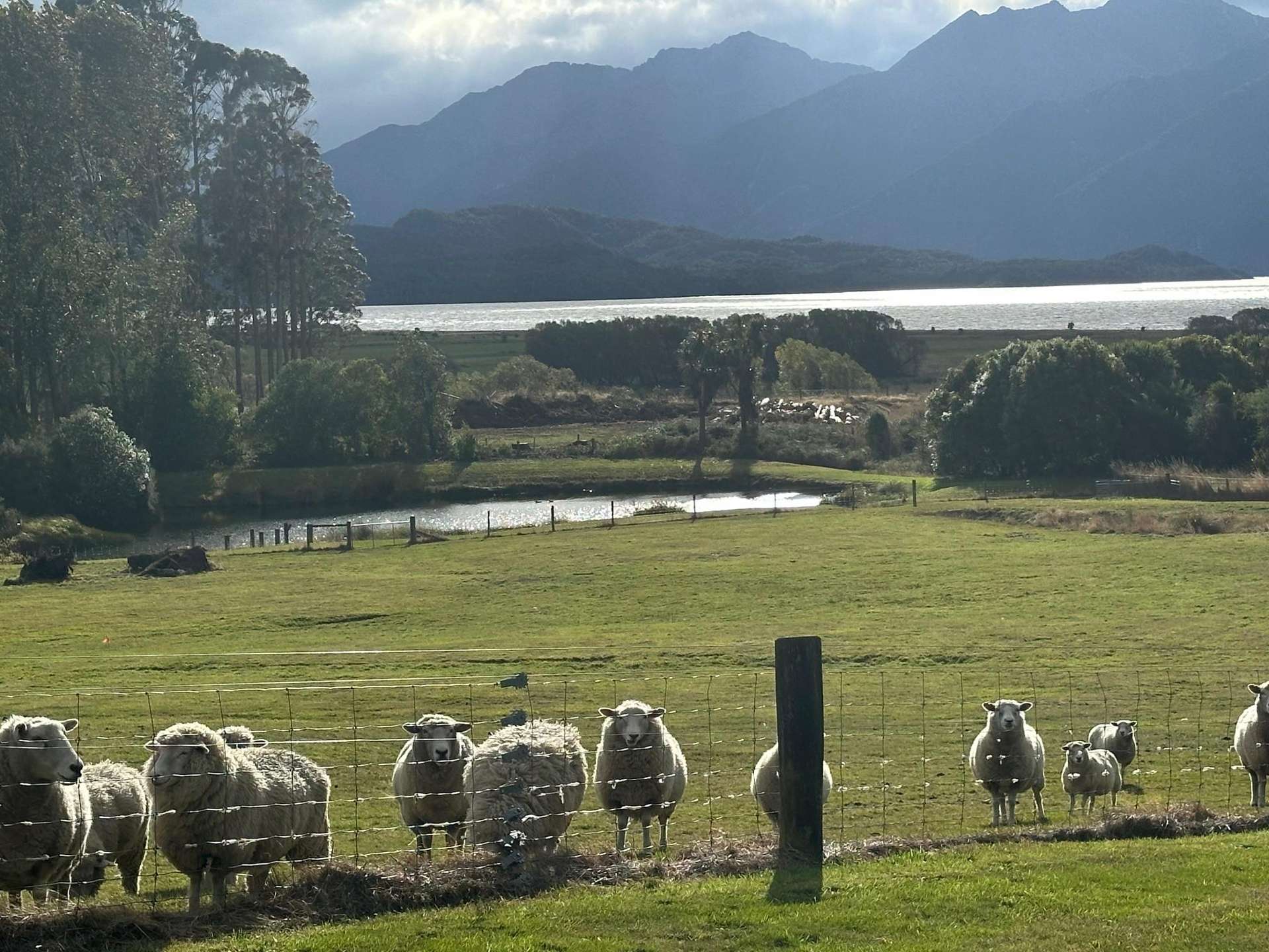 35 Patience Bay Drive Te Anau_0