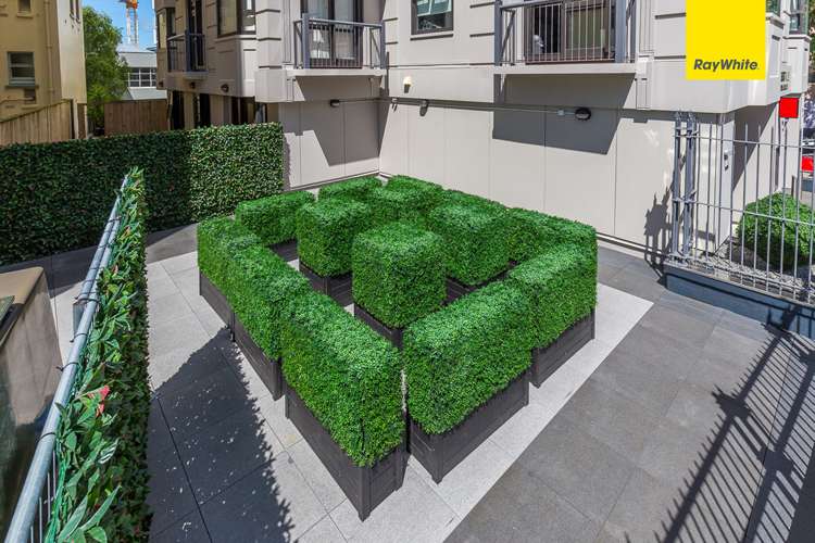 4b/2 Eden Crescent Auckland Central_17