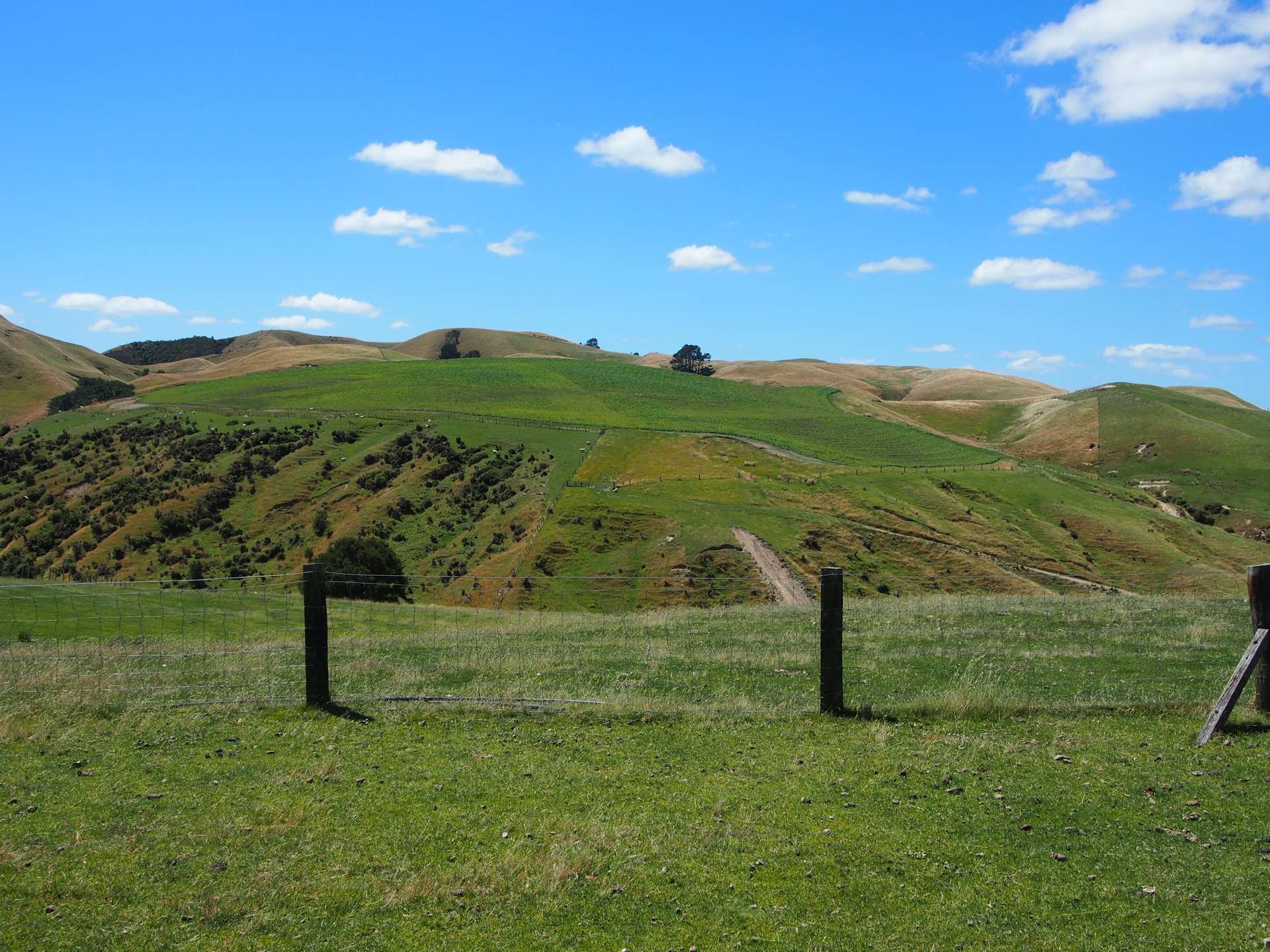 746 Te Awa Road Central Hawkes Bay Coastal_0