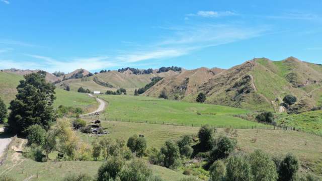 3779 Whanganui River Road (State Highway 43) Ruapehu-King Country Surrounds_2