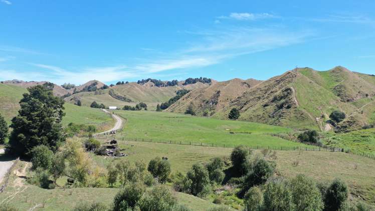 3779 Whanganui River Road (State Highway 43) Ruapehu-King Country Surrounds_2