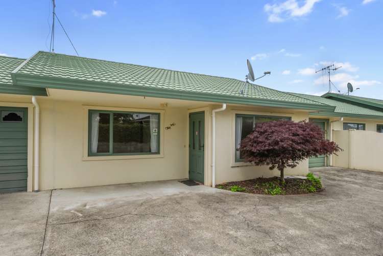 24a Rugby Street Levin_10