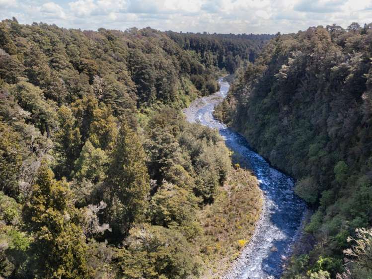 205 Mangaturuturu East Road National Park_8