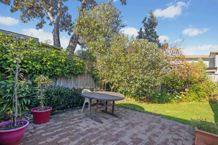 6 Raupo Street Hataitai_13