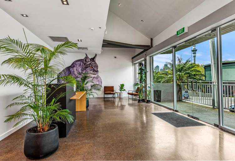 40-42 Ireland Street Freemans Bay_5