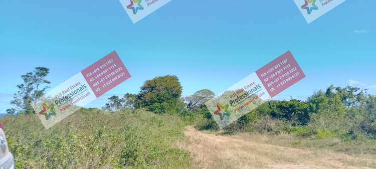 Address withheld Sigatoka_18
