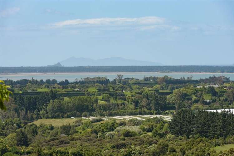 51 Corbett Drive Wairoa_20