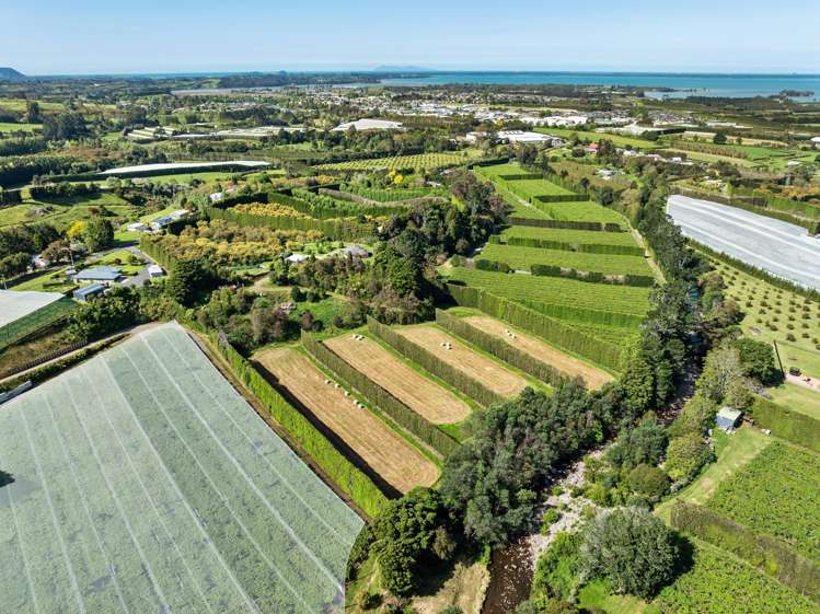 85 Wharawhara Road Katikati_8