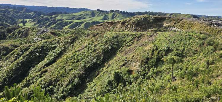 Junction Road Stratford_10