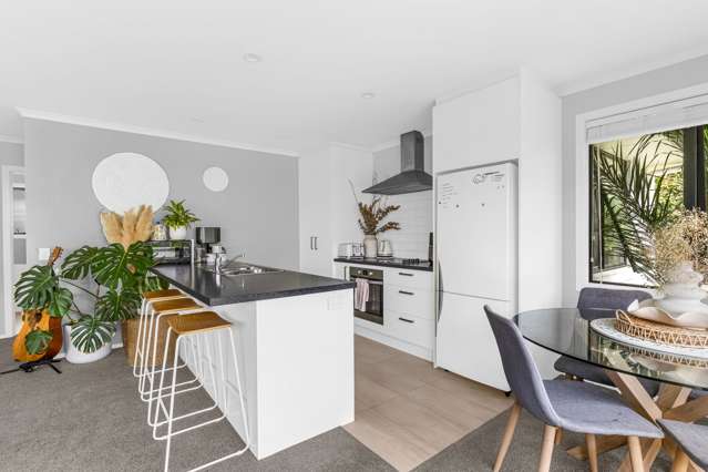 45 Exeter Street Stoke_2