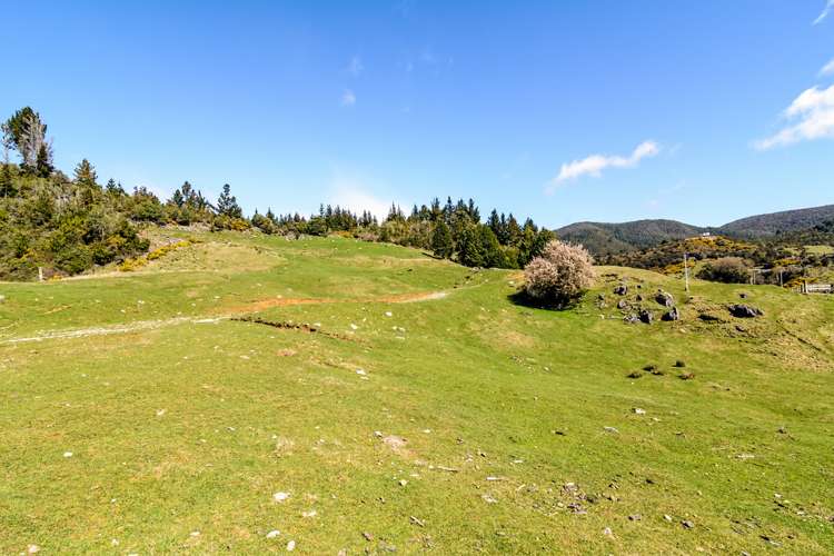 1363 Takaka Hill Highway Kahurangi National Park_10