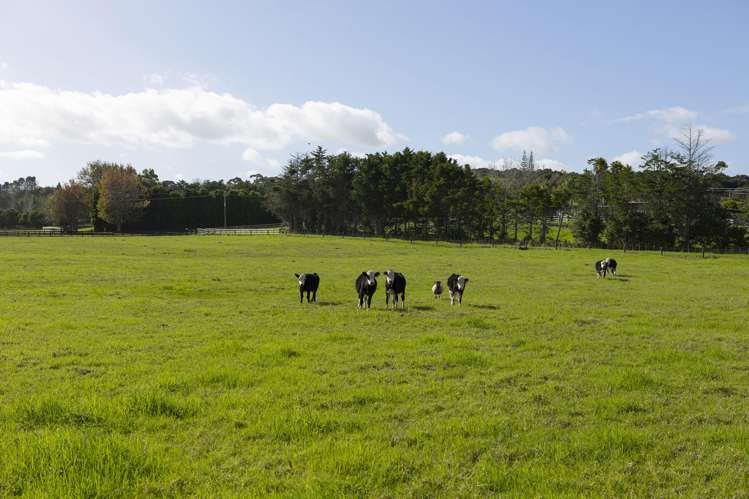 521B Okahu Road Kaitaia_6