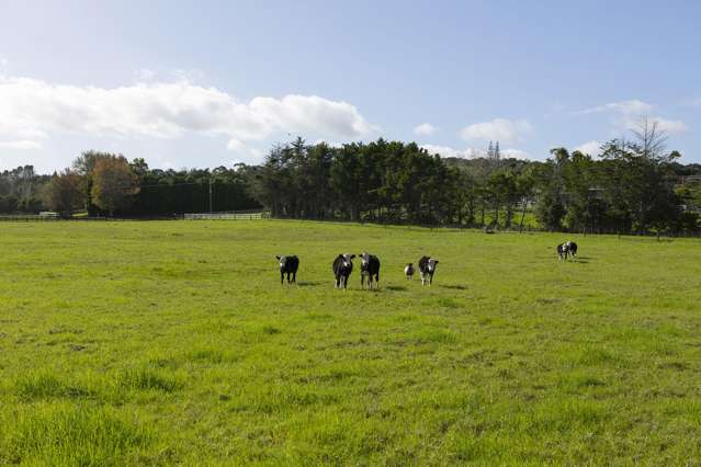 Lot 1/521B Okahu Road Kaitaia_3