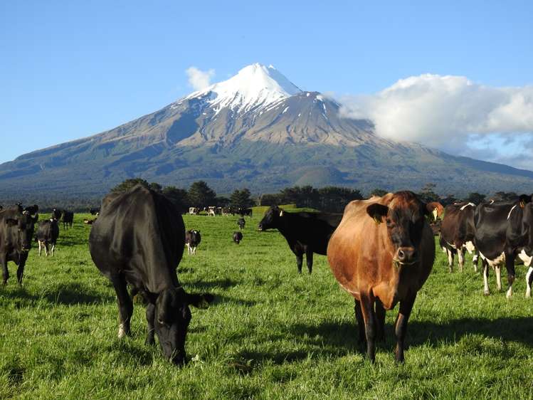 2344 Opunake Road Awatuna_13