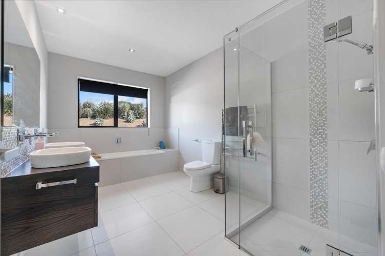 246 Blackbridge Road Dairy Flat_15