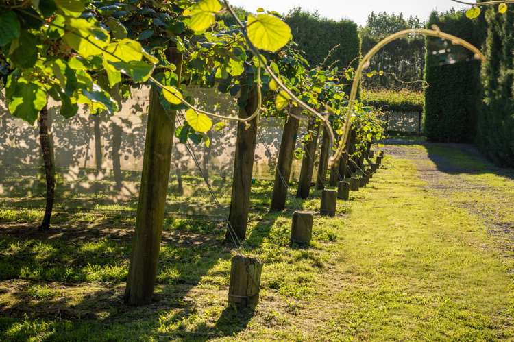 585d Mclaren Falls Road Kaimai_15