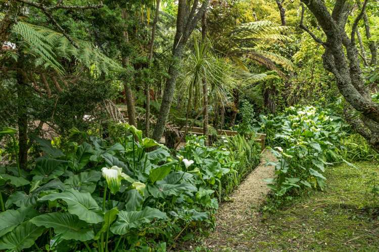 31 Matipo Road Mairangi Bay_7