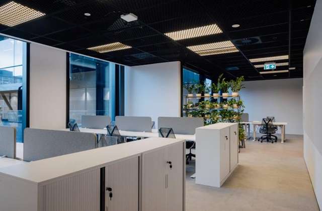 12 Madden Street Auckland Central_1