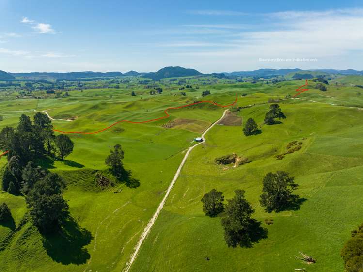 385 Whirinaki Valley Road Rotorua Surrounds_8