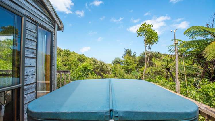 20 La Trobe Track Karekare_2